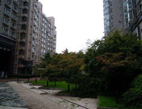 宣武門楓樺豪景豪裝一居室 白領(lǐng)租房的不二之選